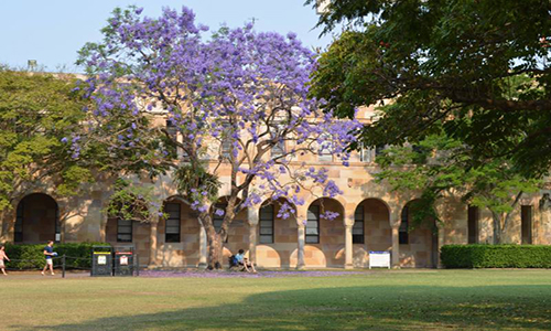 Du học Úc năng động tại Đại học Queensland